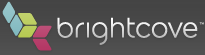 Brightcove Rolls Google AdSense for Video